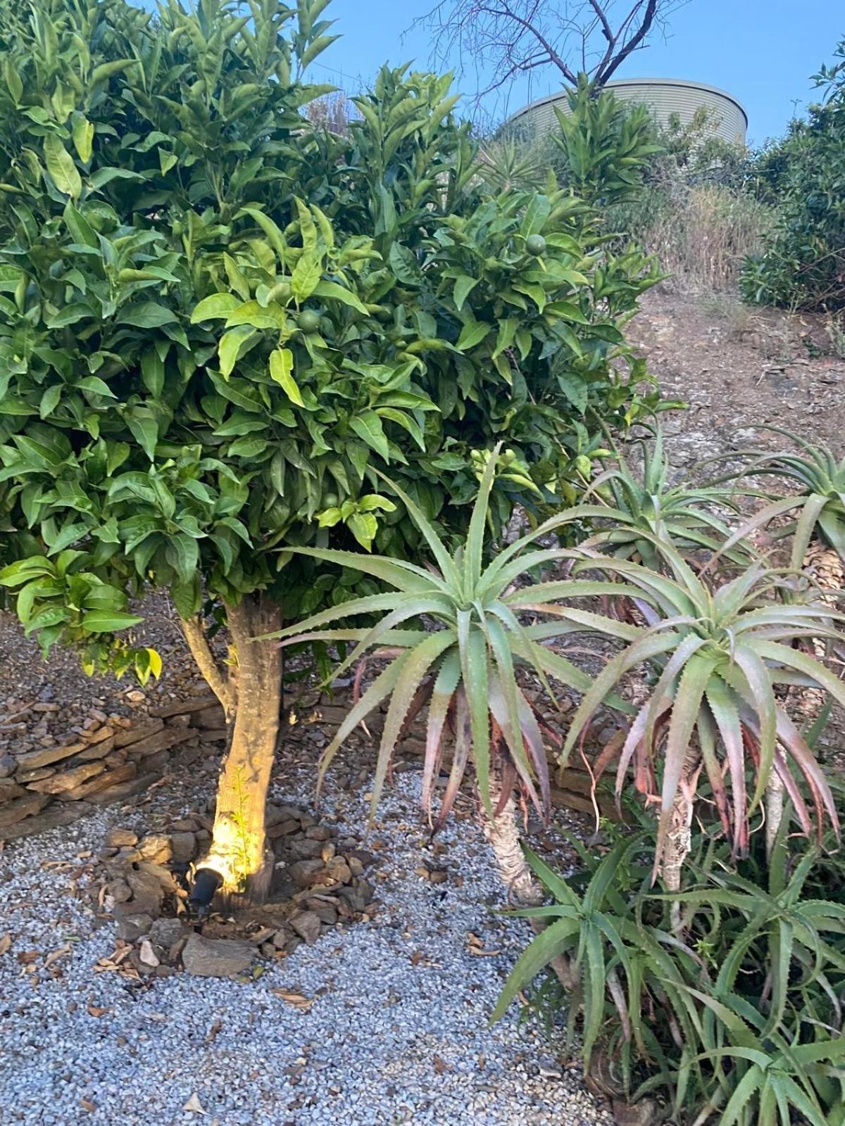 Finca Angelita Torrox Exterior foto